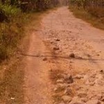 Jalan tanah. foto / ist. 
