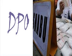 sabu foto ilustrasi.