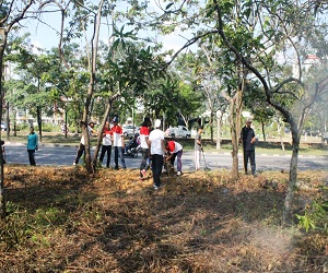 Sekretariat-DPRD-Kota-Batam-Melakukan-Gotongroyong-Membersihkan-Lokasi-Di-Depan-Anggrek-Mas-2-Mendukung-Program-Pemerintah-Kota-Batam-Gerakan-Menanam-Sejuta-Pohon-Ketapang-Kencana