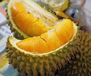 duren